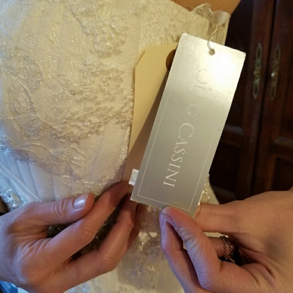 NEW Wedding dress (worn only for this photo) - Picture 6 of 7